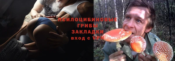 стафф Кинешма