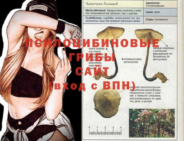 стафф Кинешма