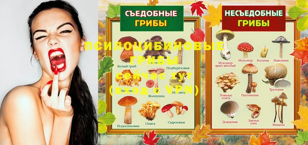 первитин Киреевск