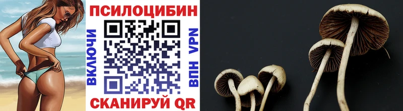 Купить где  Кореновск  Псилоцибиновые грибы ЛСД 